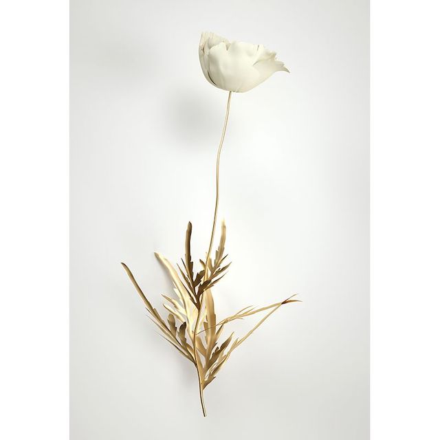 GOLDEN POPPY 3D